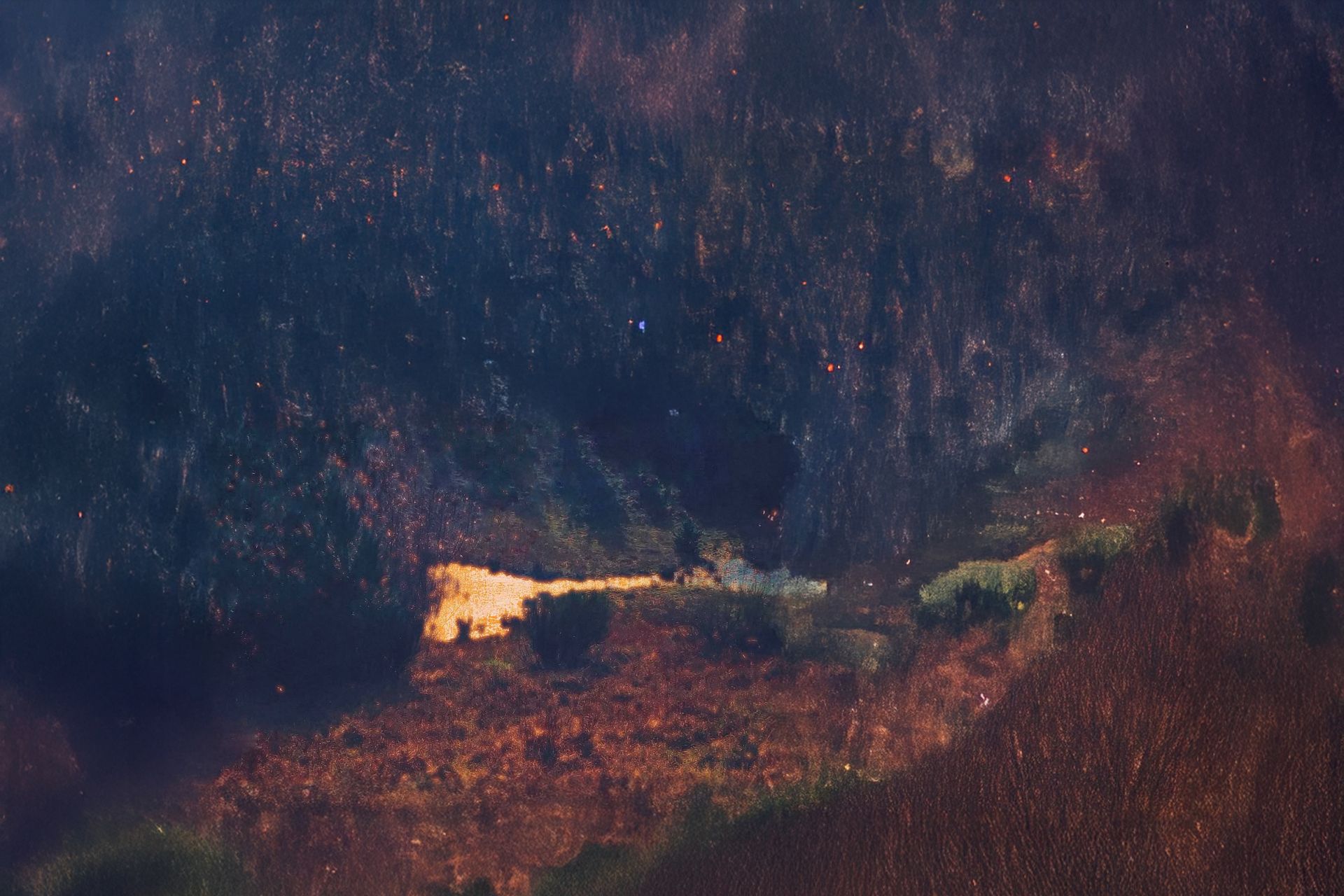 Nini-Ruiz-Surface-Beyond05