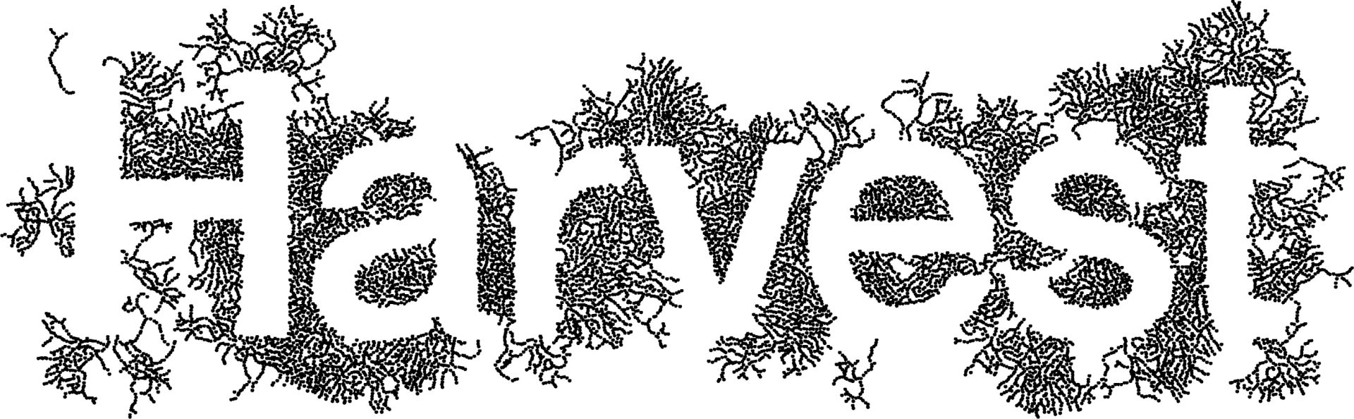 Wordmark_ornaments_black